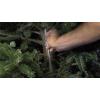 imageLuster Leaf Nanny Christmas Tree Watering Device DeluxeBasic Tree Watering System
