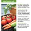 imageRapitest Soil Test Kit for Gardens Vegetables Flowers and Lawns USA designed and assembled soil tester completely quickly and accurately measuresanalyzes soil pH acidity and garden nutrientsSoil Test Kit